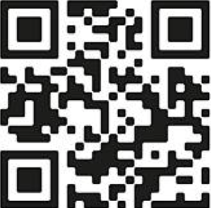 Fake QR Code
