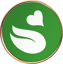 Sippa gold motif pin
